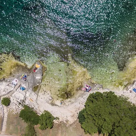 Daire Cozy In With Kitchen